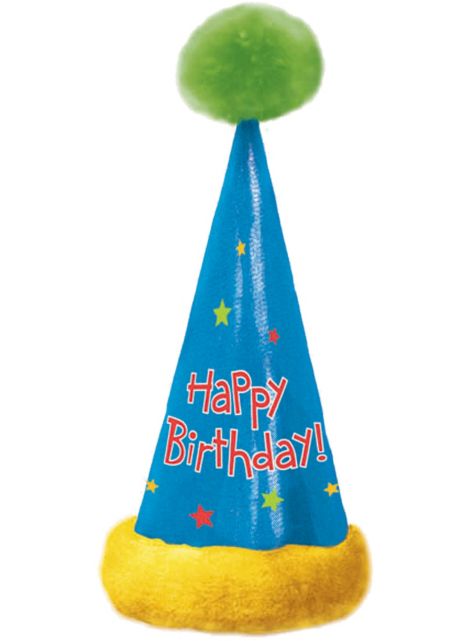 Birthday Party Hats For Adults 16