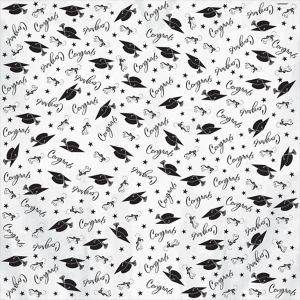 Graduation Tissue Paper 8ct - Party City