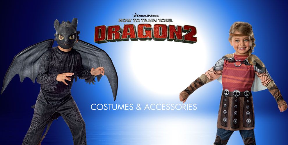 How to Train Your Dragon Party Supplies How to Train Your Dragon 2