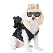 Pup-A-Razzi Pop Sensation Dog Costume