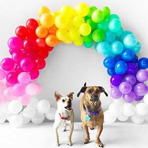 show original title Details about   EC _ Animals Number Foil Balloons Kids Party Birthday Wedding Decor Balloon